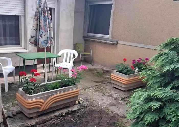 2 Retro In A Silent Garden